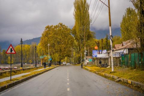 A tree-lined road in Kashmir in autumn