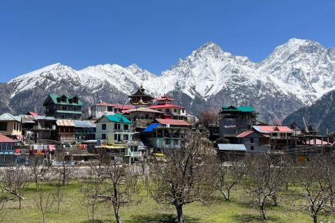 Kalpa village below snow peaks, Kinnaur